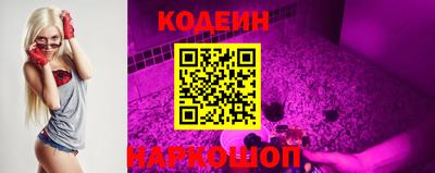 крисы Сланцы