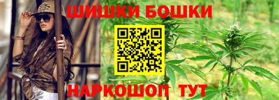 крисы Сланцы