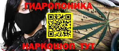крисы Сланцы