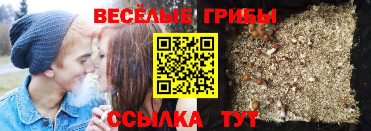 Псилоцибиновые грибы GOLDEN TEACHER Саянск